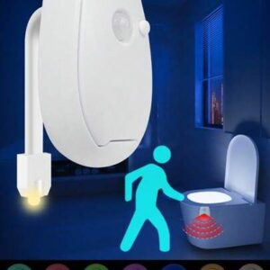 motion sensor toilet light